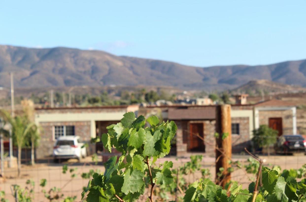 Finca Chavez Ensenada Exterior photo