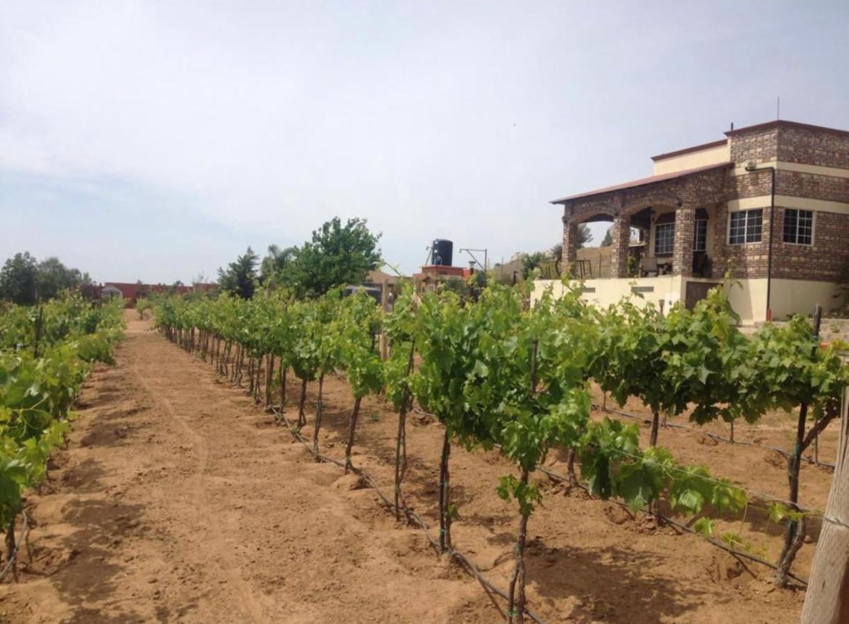 Finca Chavez Ensenada Exterior photo
